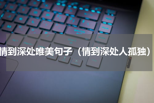 情到深处唯美句子（情到深处人孤独）