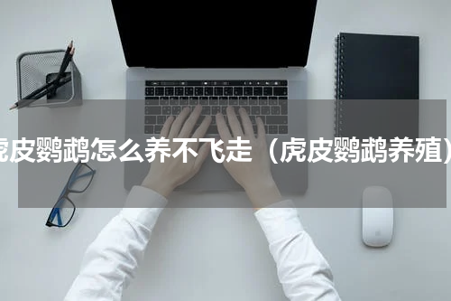 虎皮鹦鹉怎么养不飞走（虎皮鹦鹉养殖）