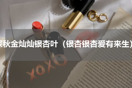 深秋金灿灿银杏叶（银杏银杏爱有来生）