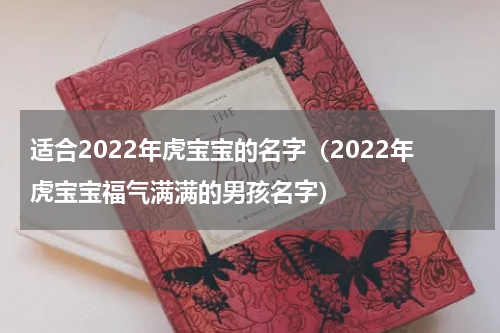 适合2022年虎宝宝的名字（2022年虎宝宝福气满满的男孩名字）