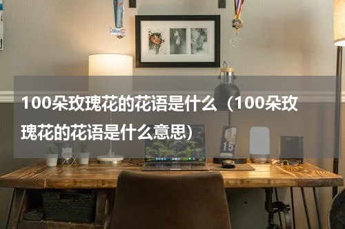 100朵玫瑰花的花语是什么（100朵玫瑰花的花语是什么意思）