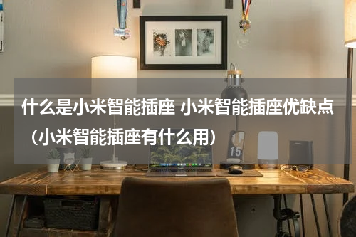 什么是小米智能插座 小米智能插座优缺点（小米智能插座有什么用）
