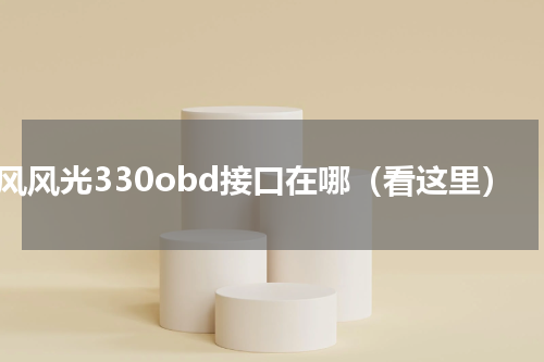 东风风光330obd接口在哪（看这里）