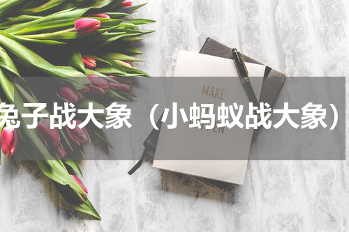 兔子战大象（小蚂蚁战大象）