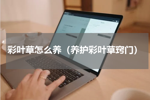 彩叶草怎么养（养护彩叶草窍门）