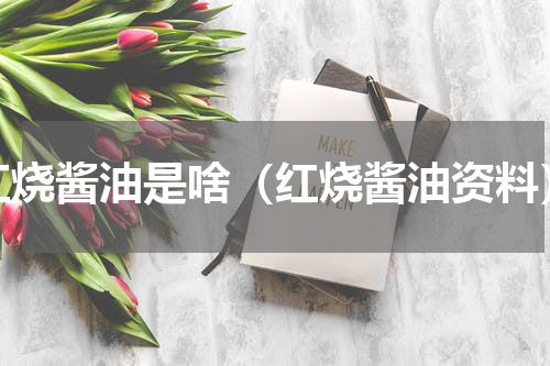 红烧酱油是啥（红烧酱油资料）