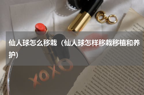 仙人球怎么移栽（仙人球怎样移栽移植和养护）