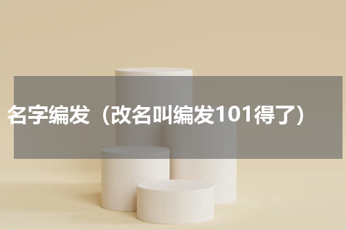 名字编发（改名叫编发101得了）