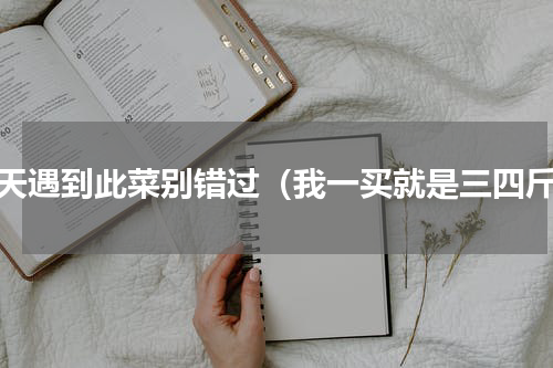 夏天遇到此菜别错过（我一买就是三四斤）