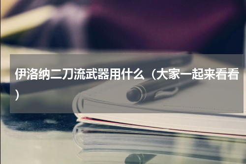 伊洛纳二刀流武器用什么（大家一起来看看）