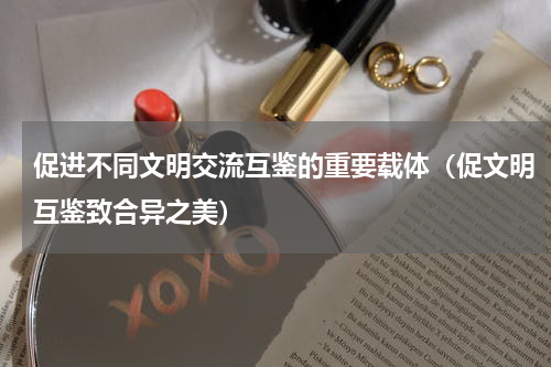 促进不同文明交流互鉴的重要载体（促文明互鉴致合异之美）