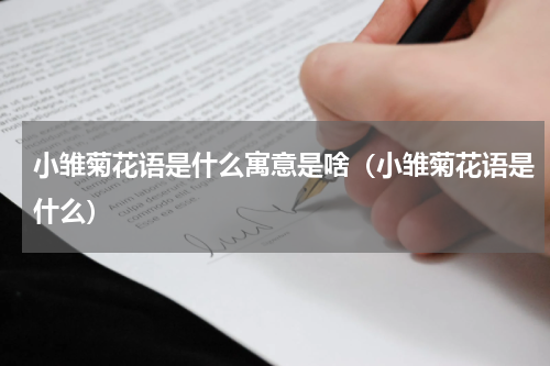 小雏菊花语是什么寓意是啥（小雏菊花语是什么）