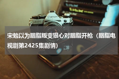 宋勉以为胭脂叛变狠心对胭脂开枪（胭脂电视剧第2425集剧情）
