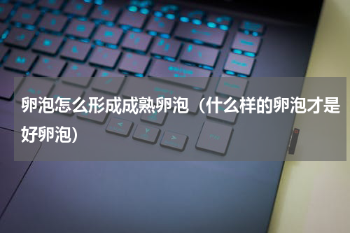 卵泡怎么形成成熟卵泡（什么样的卵泡才是好卵泡）