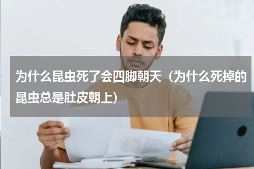 为什么昆虫死了会四脚朝天（为什么死掉的昆虫总是肚皮朝上）