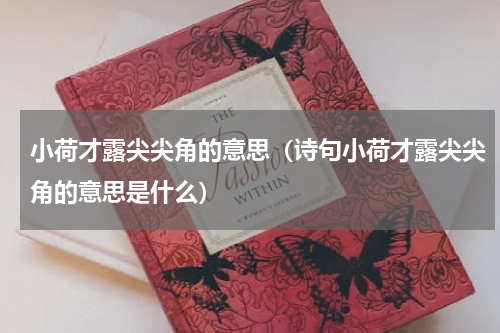小荷才露尖尖角的意思（诗句小荷才露尖尖角的意思是什么）