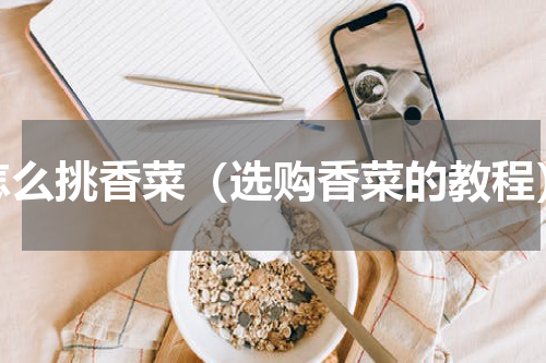 怎么挑香菜（选购香菜的教程）