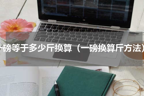 一磅等于多少斤换算（一磅换算斤方法）