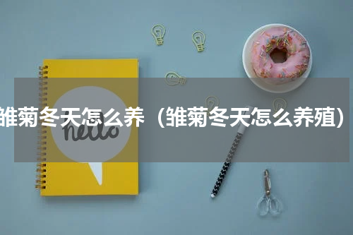 雏菊冬天怎么养（雏菊冬天怎么养殖）