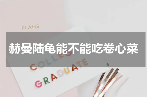 赫曼陆龟能不能吃卷心菜