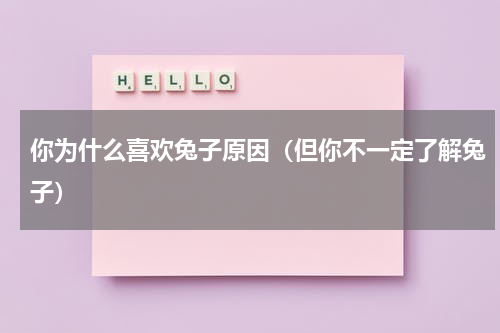 你为什么喜欢兔子原因（但你不一定了解兔子）