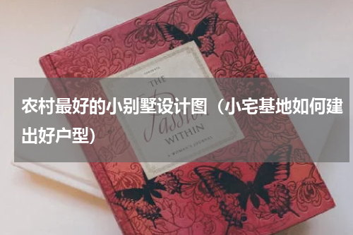 农村最好的小别墅设计图（小宅基地如何建出好户型）