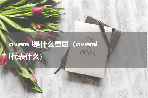 overall是什么意思（overall代表什么）