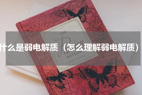 什么是弱电解质（怎么理解弱电解质）