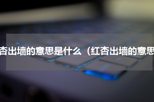 红杏出墙的意思是什么（红杏出墙的意思）