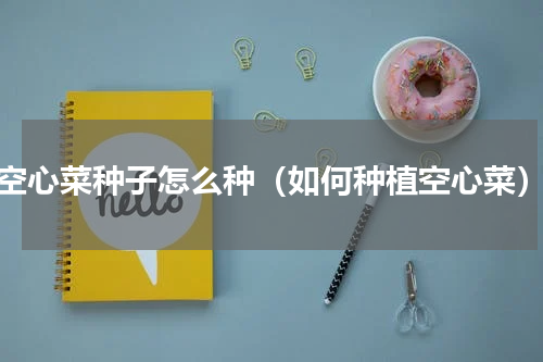 空心菜种子怎么种（如何种植空心菜）