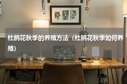 杜鹃花秋季的养殖方法（杜鹃花秋季如何养殖）
