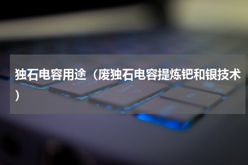 独石电容用途（废独石电容提炼钯和银技术）