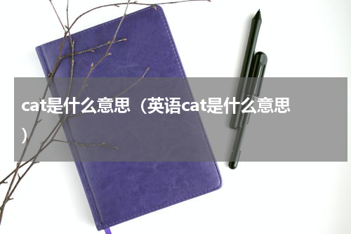 cat是什么意思（英语cat是什么意思）