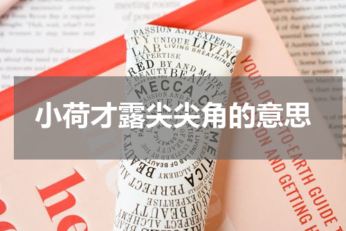 小荷才露尖尖角的意思