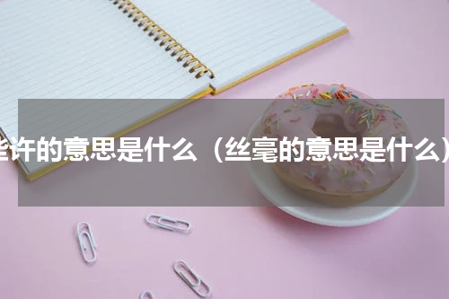 些许的意思是什么（丝毫的意思是什么）
