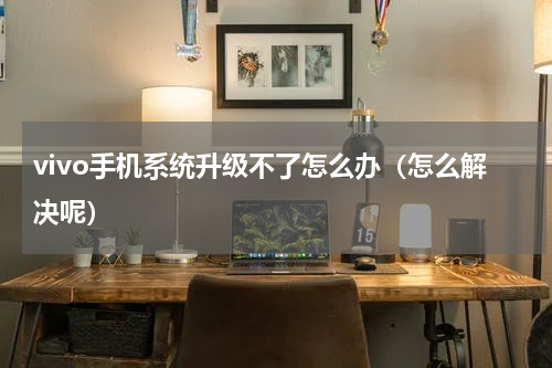 vivo手机系统升级不了怎么办（怎么解决呢）