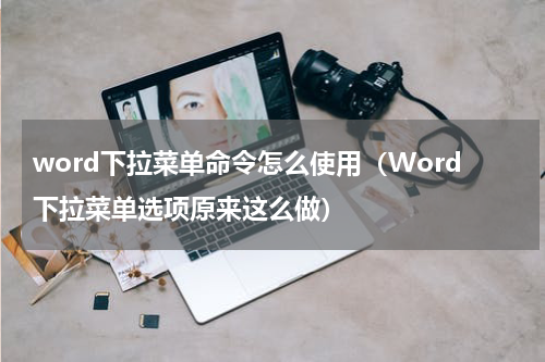 word下拉菜单命令怎么使用（Word下拉菜单选项原来这么做）