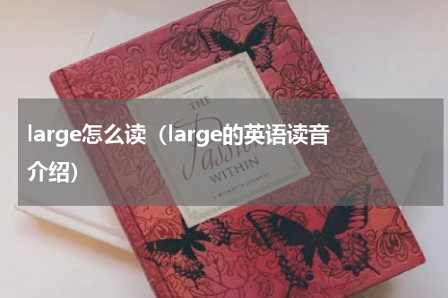 large怎么读（large的英语读音介绍）