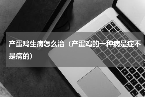 产蛋鸡生病怎么治（产蛋鸡的一种病是症不是病的）
