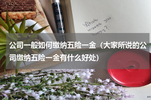公司一般如何缴纳五险一金（大家所说的公司缴纳五险一金有什么好处）