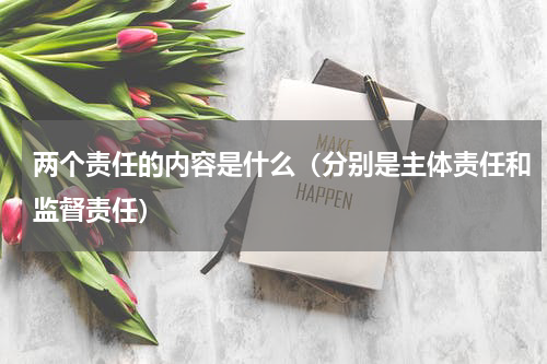两个责任的内容是什么（分别是主体责任和监督责任）
