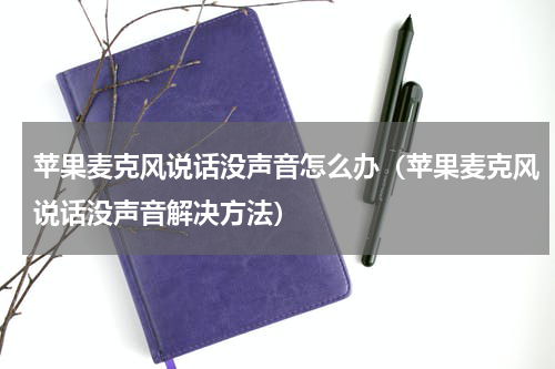 苹果麦克风说话没声音怎么办（苹果麦克风说话没声音解决方法）