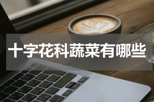 十字花科蔬菜有哪些