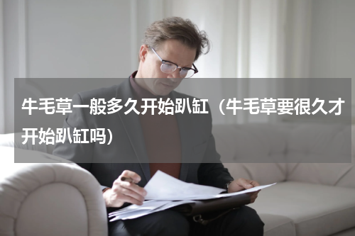 牛毛草一般多久开始趴缸（牛毛草要很久才开始趴缸吗）