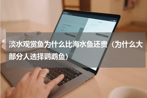 淡水观赏鱼为什么比海水鱼还贵（为什么大部分人选择鹦鹉鱼）