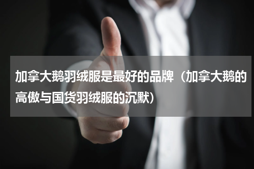 加拿大鹅羽绒服是最好的品牌（加拿大鹅的高傲与国货羽绒服的沉默）