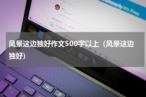 风景这边独好作文500字以上（风景这边独好）