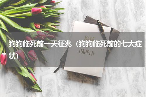 狗狗临死前一天征兆（狗狗临死前的七大症状）