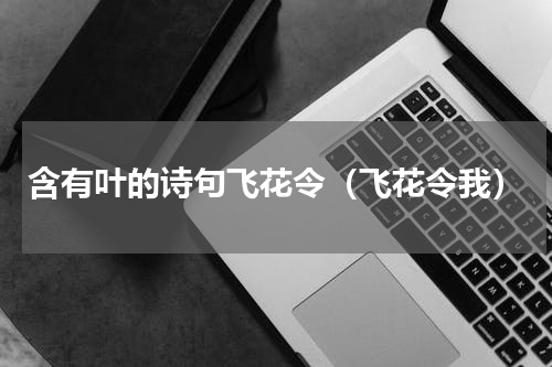 含有叶的诗句飞花令（飞花令我）