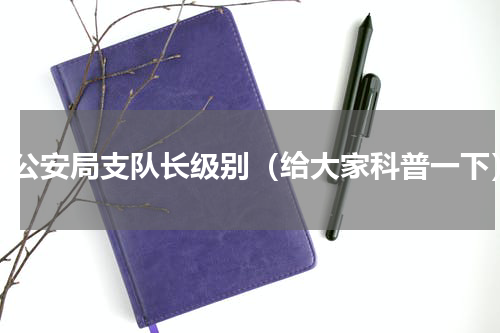 市公安局支队长级别（给大家科普一下）